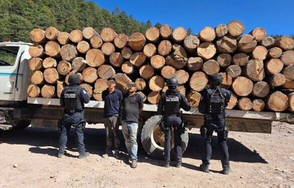 Obtiene FGE sentencia contra responsables por delitos contra el medio ambiente en Guachochi