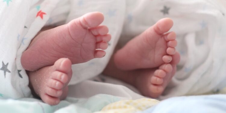 Aunque la cuñada está feliz de tener a los gemelos en casa, dice que ahora se encuentra en un dilema emocional, pues ha perdido completamente el respeto a los padres biológicos de los niños.