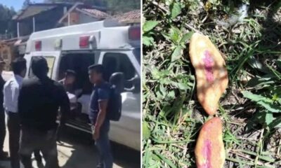 De acuerdo con los habitantes, el pasado miércoles, las autoridades ejidales de la comunidad ordenaron arrojar pan con veneno para erradicar a los perros callejeros.