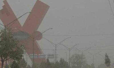 Clima en Ciudad Juárez hoy, 15 de febrero de 2025: Vientos fuertes y temperaturas frescas