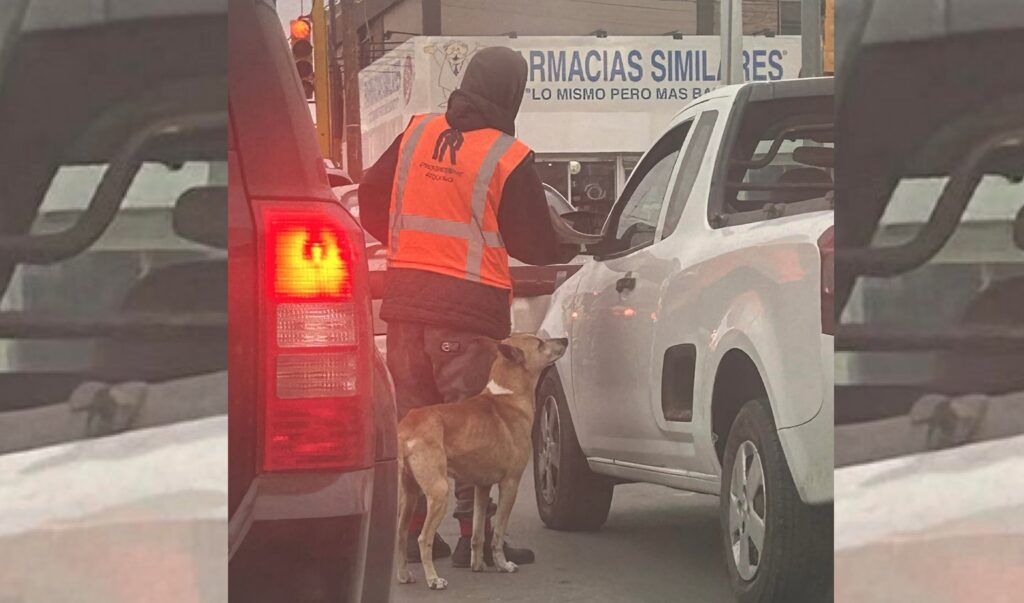 En las imágenes rápidamente se viralizaron, acumulando miles de likes y comentarios, donde los internautas expresaron su admiración por la motivación