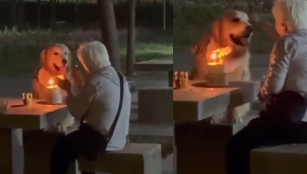 La tierna escena en un parque conmovió a millones en redes sociales; el pastel quedó intacto, pero el amor fue evidente