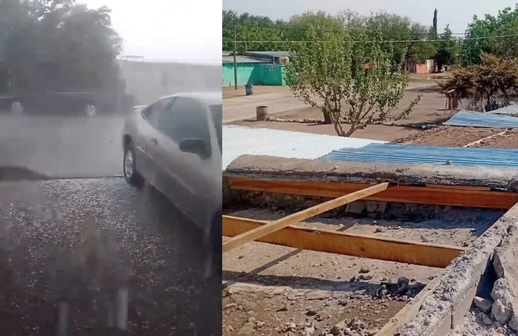 Protección Civil reporta desprendimiento de techos y caída de árboles; en Coronado no hubo afectaciones graves