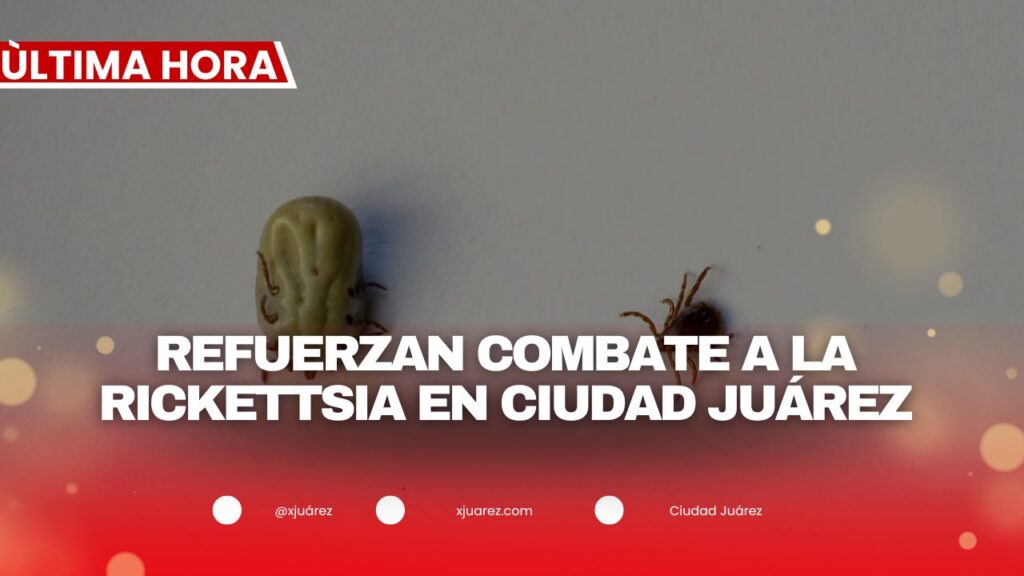 Van 17 casos y cinco muertes en lo que va del año; piden a la ciudadanía mantener sus patios y mascotas limpias