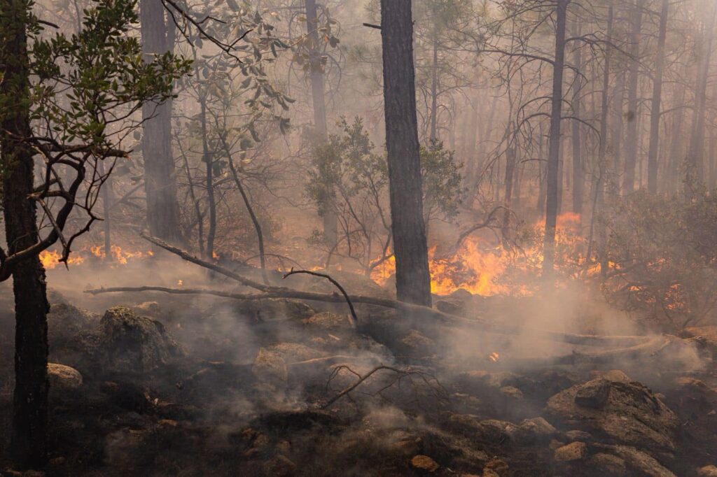 Vientos intensifican el fuego y ya van más de 28 mil hectáreas afectadas; Madera encabeza la emergencia