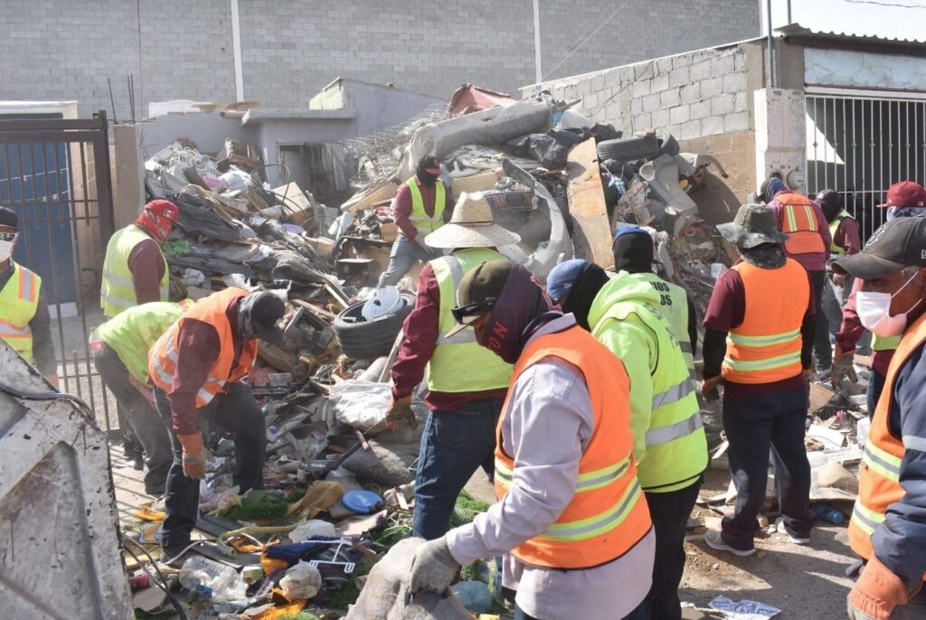 Vecinos reportaron plaga de garrapatas y riesgo sanitario; autoridades municipales intervinieron