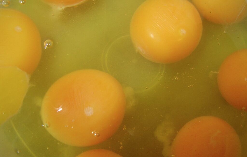 La empresa August Egg Company y la FDA han iniciado el retiro de 1.7 millones de docenas de huevos orgánicos distribuidos en supermercados de nueve estados por riesgo de salmonelosis.