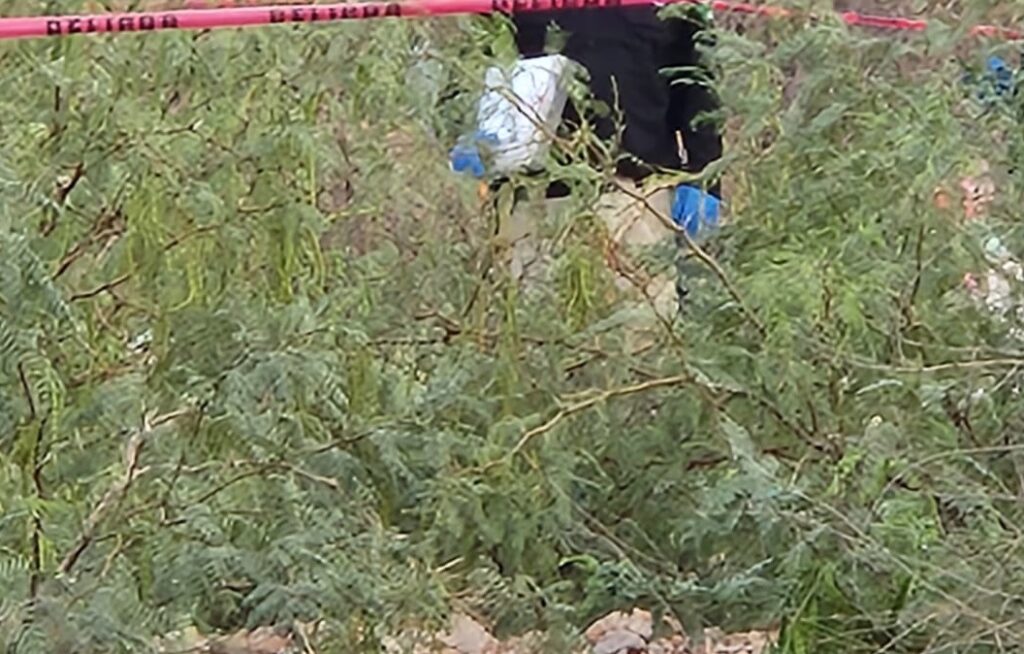 Los cuerpos fueron hallados por civiles en una zona de terracería en Sacramento; autoridades investigan posible ejecución