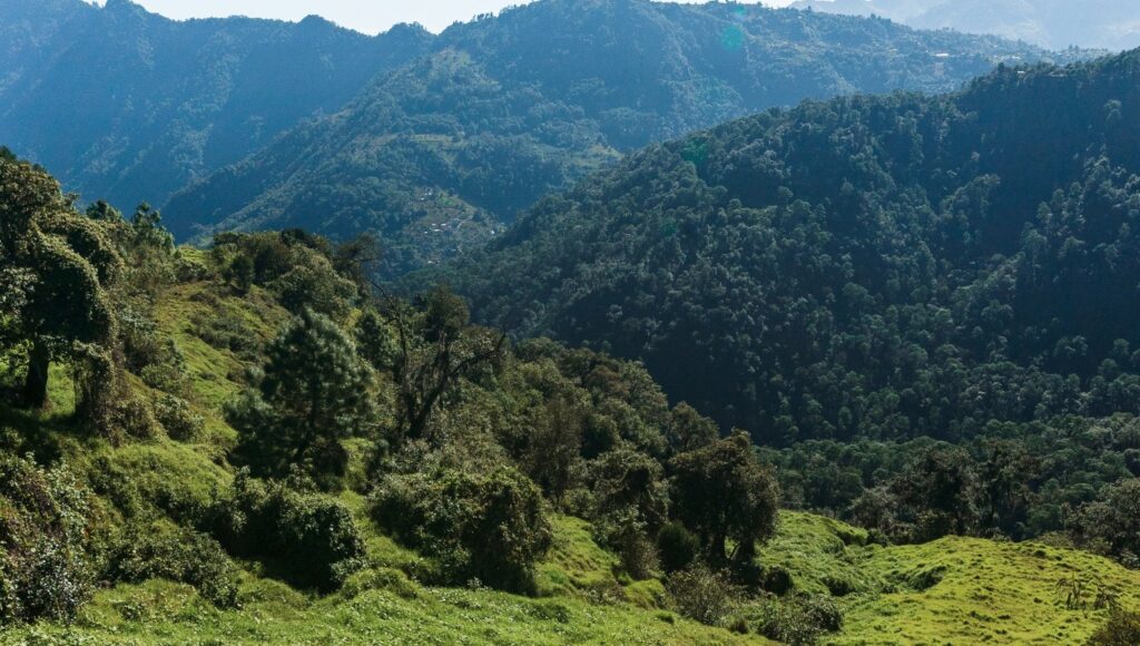Advierten que el 5% del territorio nacional ya es irrecuperable; se busca restaurar al menos cinco millones de hectáreas para 2030