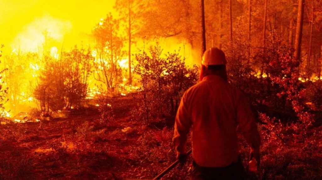 El fuego arrasa con bosques en al menos seis municipios de Chihuahua; el más grave ocurre en el Área Natural Protegida de Tutuaca