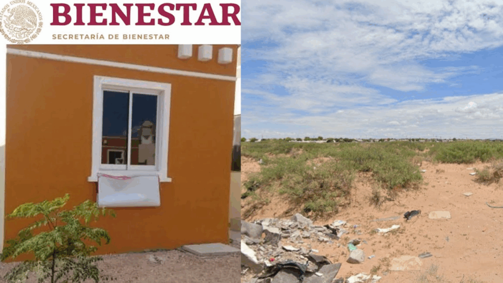Inician despalmes para 720 viviendas Bienestar en Juárez; esperan arrancar la obra este año