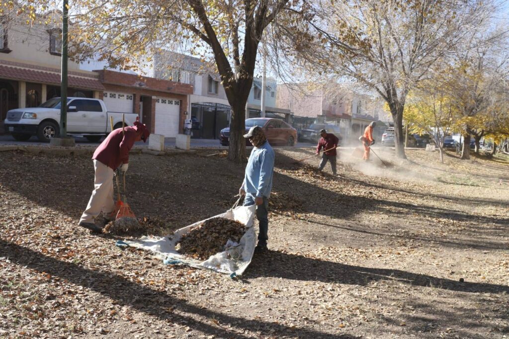 Vecinos del sector reconocieron los trabajos de limpieza y mantenimiento realizados por la Dirección de Parques y Jardines
