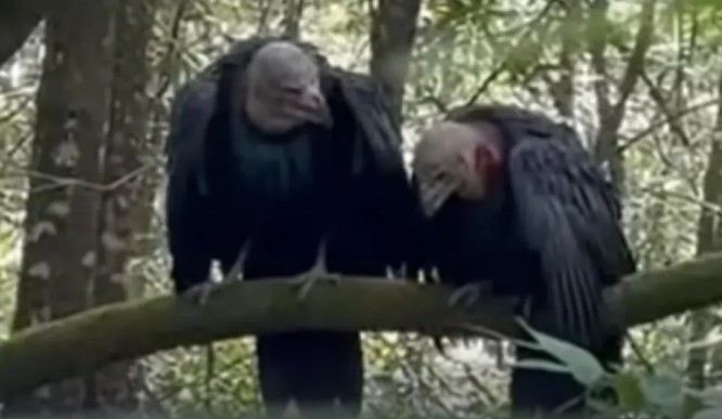 ¿Brujas o montaje? Extraño video en Catemaco desata teorías 1