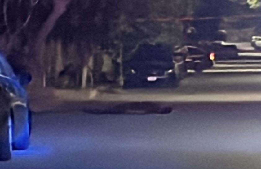 Ataque arm4do deja un hombre sin v1da frente a tienda en Salvarcar 2