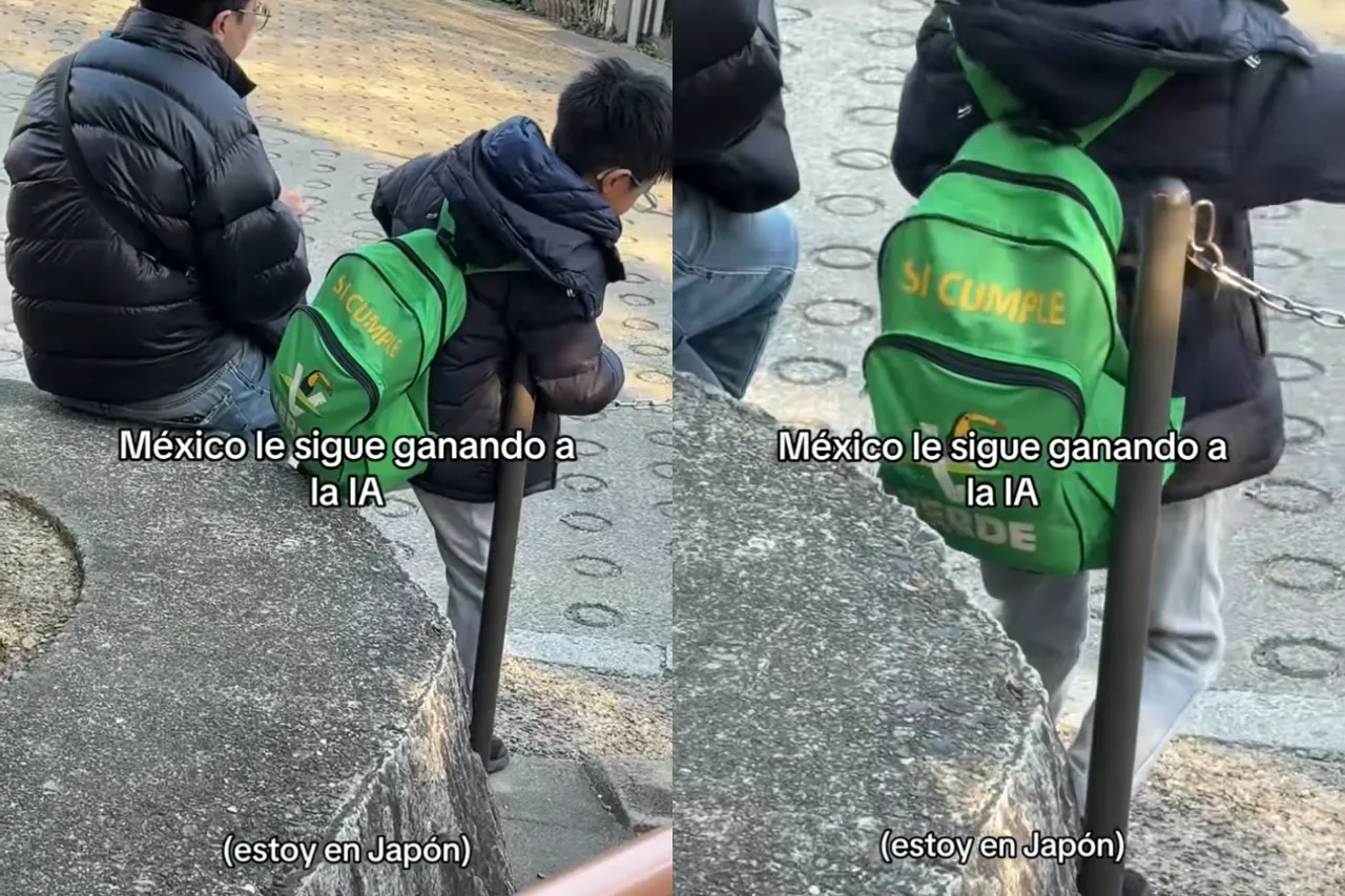 Mexicana encuentra en Japón a niño con mochila del Partido Verde; video se vuelve viral