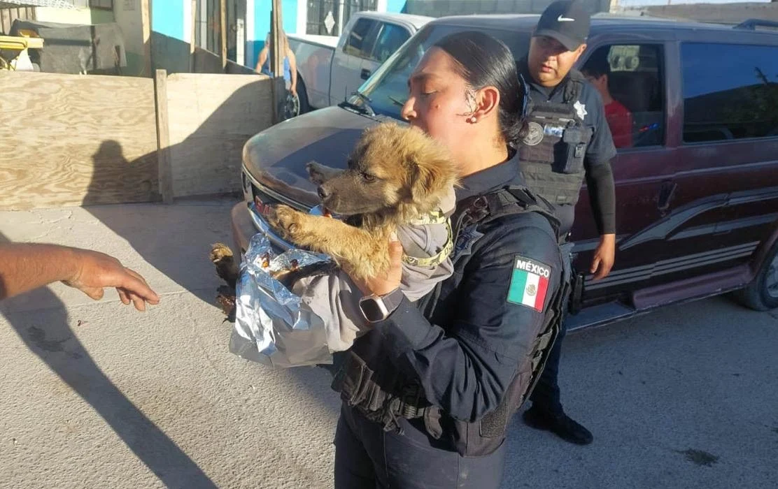 Policías rescatan a dos perros de casa en llamas 1