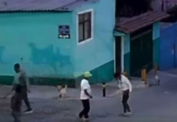 Hombre ataca a perros con machete y hiere a mujer en Puebla; video causa indignación