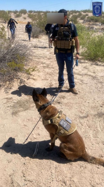 Hallan r3stos óse0s en operativo de la Fiscalía en el Valle de Juárez 2