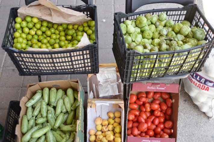 Frijol, huevo, queso y más: llega v3nta directa de productores al Parque Central 2