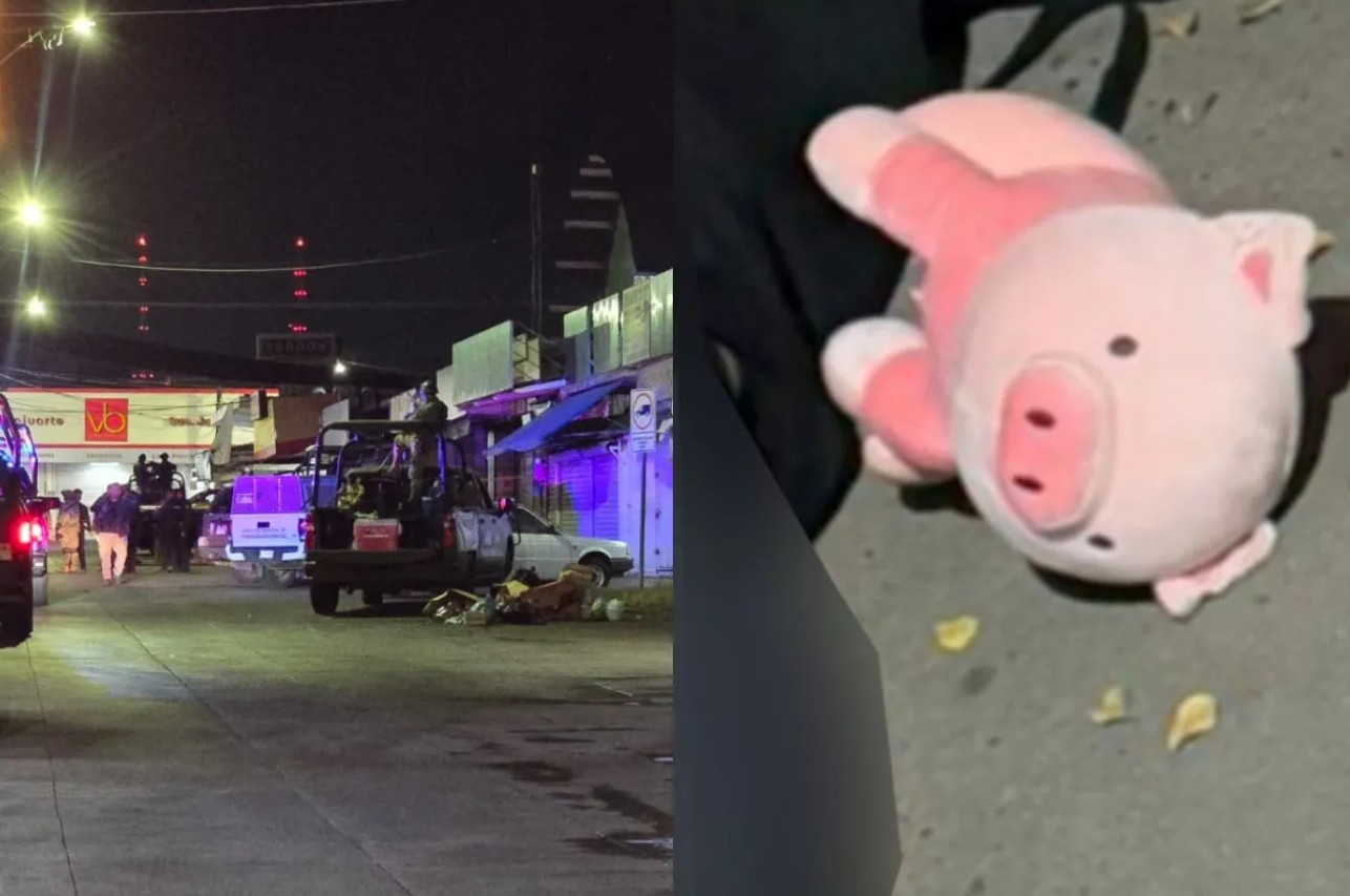 Hallan a ej3cut4do junto a un cerdito de peluche; ya son tres casos similares 1