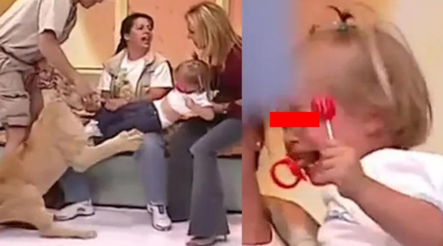 23 años después: reaparece la bebé at4c4da por un león en televisión en vivo 94
