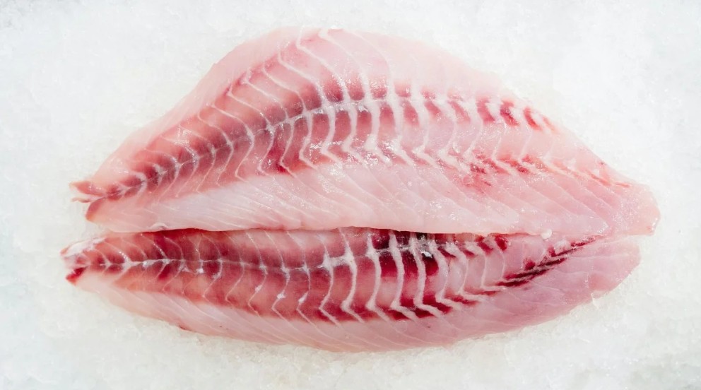 Estudio alerta sobre contaminación de pescado almacenado en recipientes de plástico 16
