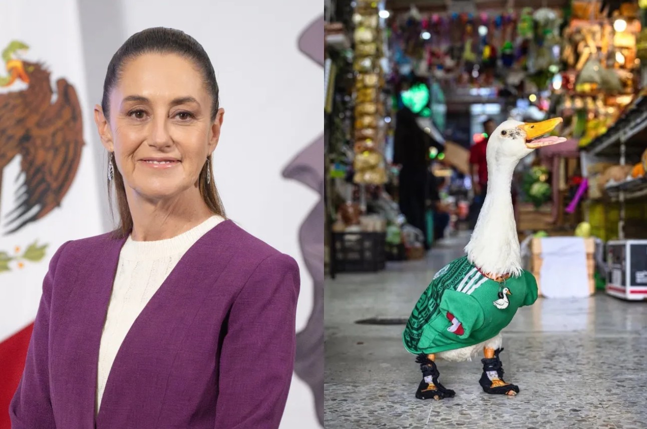 Busca Sheinbaum invitar al “Pato Merlín” a Palacio Nacional 1