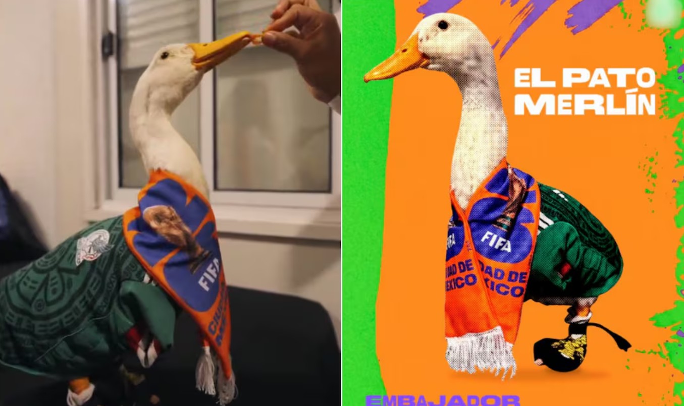 El pato Merlín ya es embajador oficial del Mundial y redes piden que paguen a su familia 1