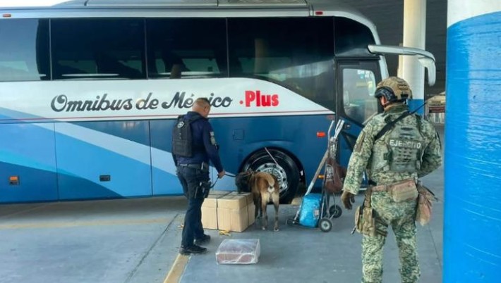 Binomios K9 patrullan la Central Camionera para reforzar la seguridad 1