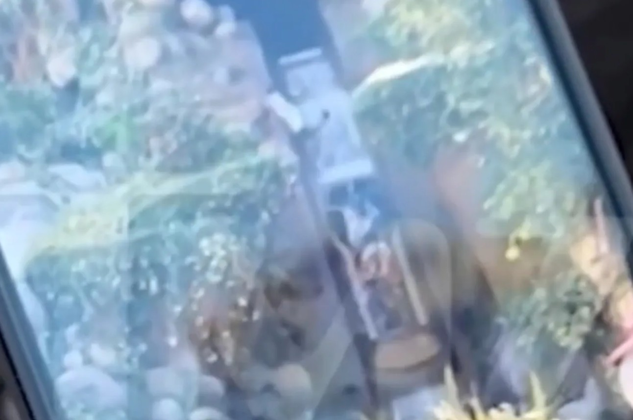 Niño cae de atracción en Disneyland y se precipita por cascada de 15 metros 1