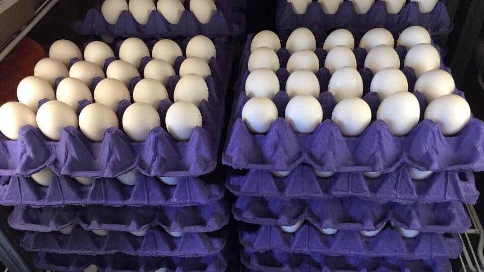 La sobreproducción en Estados Unidos y México mantiene los precios bajos para los consumidores