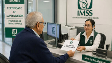 Modalidad 10 del IMSS en 2026: costos, requisitos y beneficios para trabajadores independientes 84
