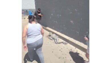 Creen encontrar un alien afuera de un supermercado y el video se vuelve viral 94