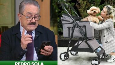 Pedro Sola ofrece disculpa pública tras polémica por comentarios sobre perros 52