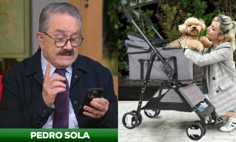 Pedro Sola ofrece disculpa pública tras polémica por comentarios sobre perros 1