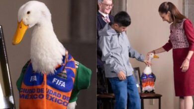El pato Merlín y su familia ya tienen casa propia; dejaron atrás la vida en un local 49