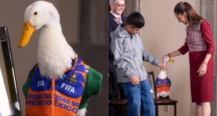 El pato Merlín y su familia ya tienen casa propia; dejaron atrás la vida en un local