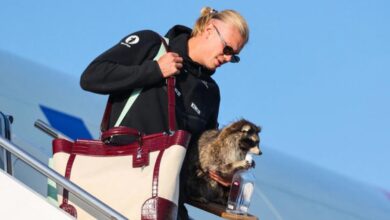 Haaland sorprende al regresar a Noruega con un mapache disecado; esto le costó 5