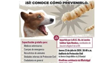 Senasica impartirá capacitación para prevenir el gusano barrenador en mascotas 12