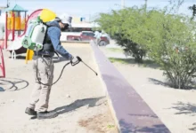 Rickettsiosis g0lpea con mayor let4lid4d a adultos de 25 a 44 años en Ciudad Juárez 24