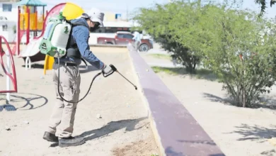 Rickettsiosis g0lpea con mayor let4lid4d a adultos de 25 a 44 años en Ciudad Juárez 5