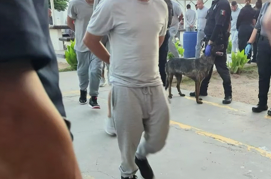 En el operativo participaron 264 elementos y fueron inspeccionadas 576 personas privadas de la libertad y 87 estancias.