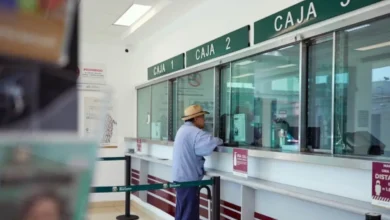 Bienestar no solo da din3ro a adultos mayores y estudiantes: 3 programas sociales que pocos conocen 77 Bienestar no solo da dinero a adultos mayores y estudiantes: 3 programas sociales que pocos conocen