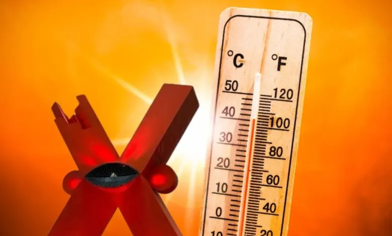 La ciudad alcanzó 41 grados y una sensación térmica de 43, mientras habitantes buscaron sombra, agua y lugares con aire acondicionado.