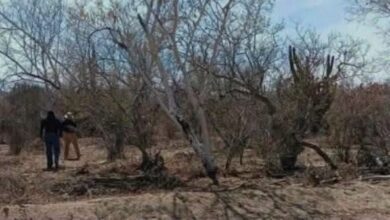 Las víctimas fueron localizadas en el municipio de Jitotol; autoridades investigan el caso y aún no han revelado sus identidades.