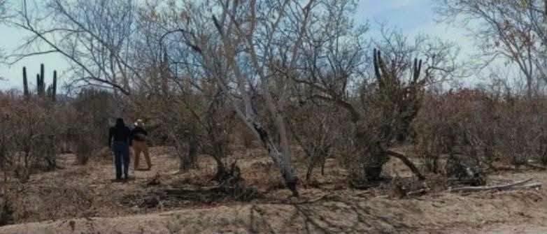 Las víctimas fueron localizadas en el municipio de Jitotol; autoridades investigan el caso y aún no han revelado sus identidades.