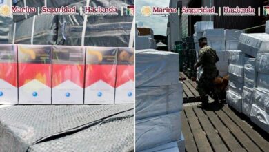 El cargamento fue detectado durante una operación de importación mediante labores de inteligencia, análisis de riesgo y revisión aduanera.