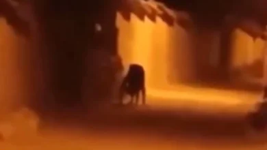 Reaparece video de supuesto “nahual” y desata debate en redes 56