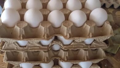 La distribución se realizará a través de bancos de alimentos como parte de un acuerdo derivado de una investigación por presuntas prácticas antimonopolio en el mercado del huevo.