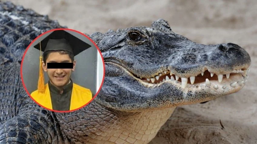 El joven de 28 años, originario de la Ciudad de México, perdió la vida después de ser arrastrado por un reptil mientras vacacionaba en una playa de Jalisco.